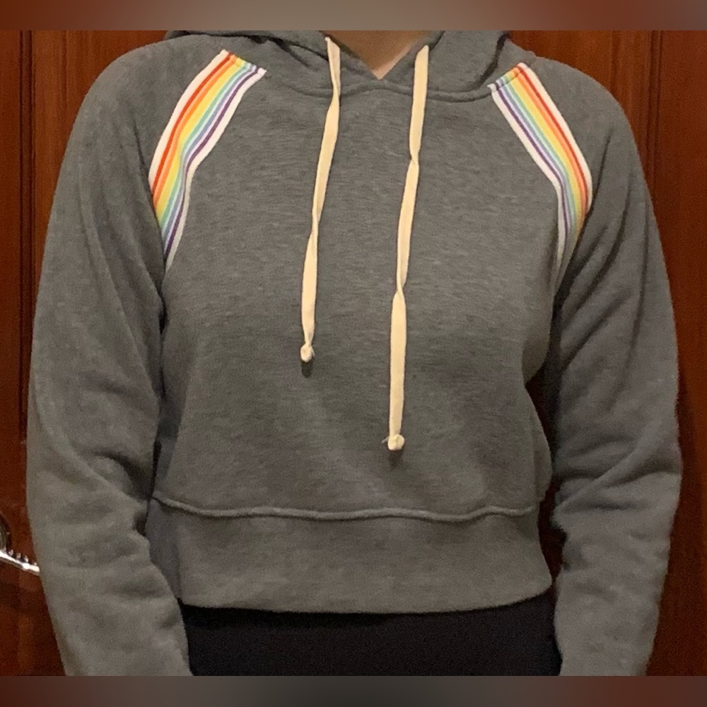 Brooklyn Cloth Womens Cropped Hoodie Size Small Gray w/Rainbow Trim Long Sleeves